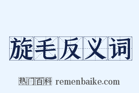 旋毛反义词是什么意思的图片